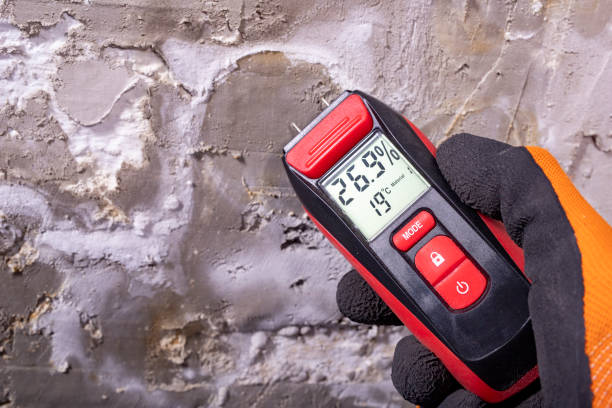 Best Emergency Mold Remediation in Newton, TX