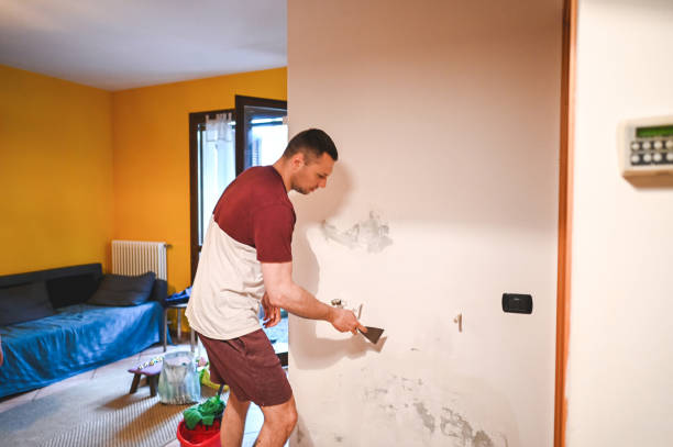 Best Residential Mold Remediation in Newton, TX