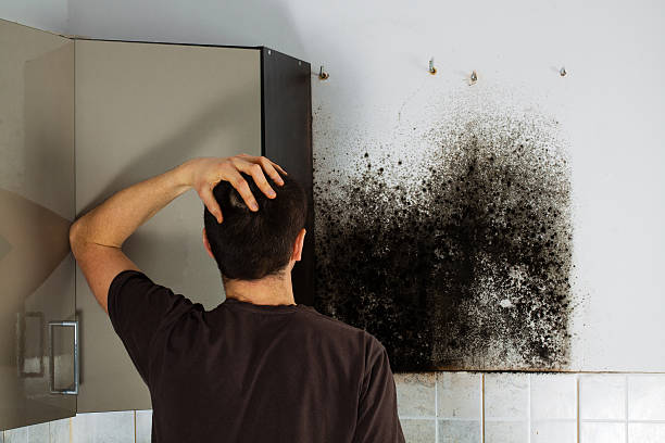 Best Post-Flood Mold Remediation in Newton, TX